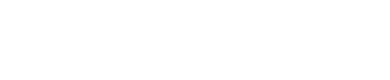 Car Force